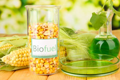 Ffair Rhos biofuel availability